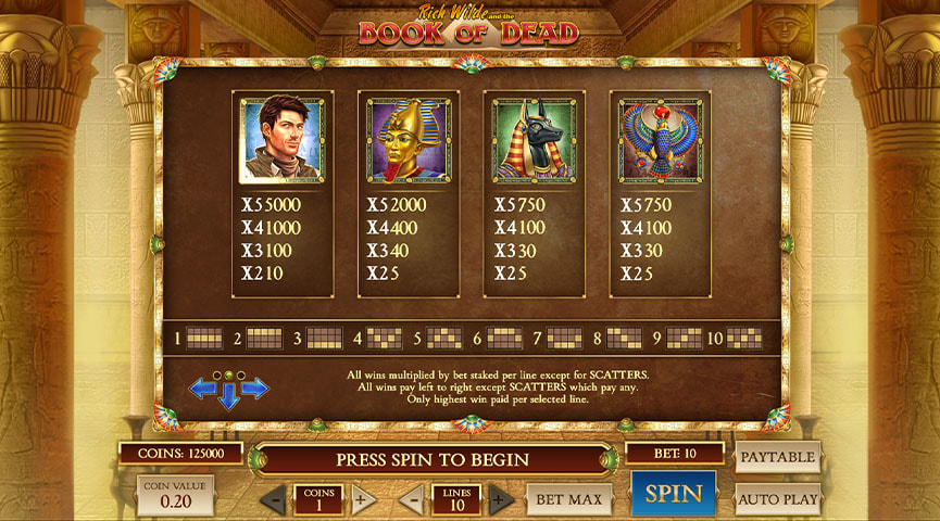 Pros and Cons of the Book of Dead Slot Game